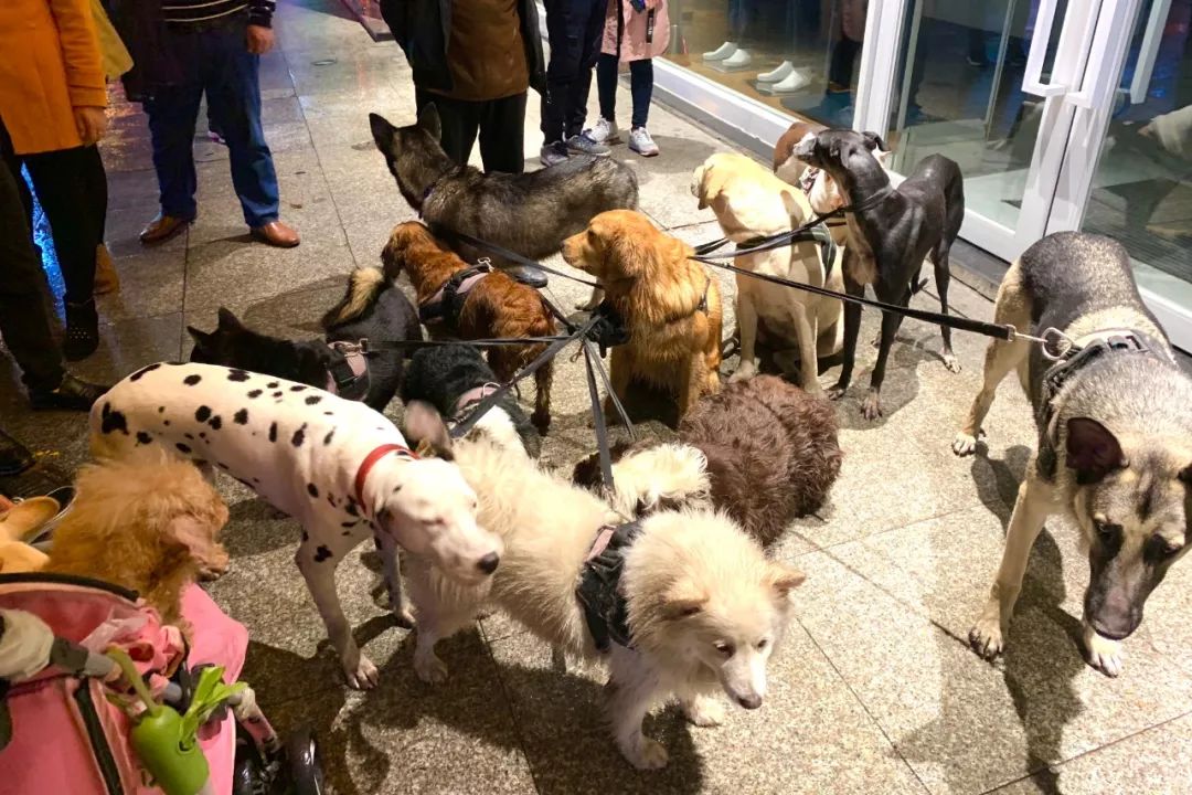 享受这个城市的美好,感受长沙这座不夜城