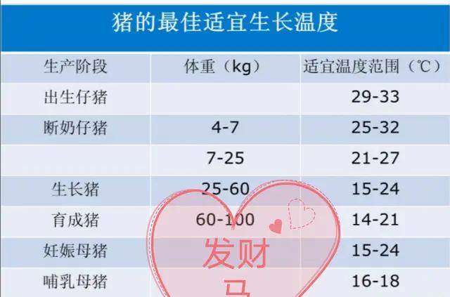 副猪嗜血杆菌的治疗,副猪嗜血杆菌病和链球菌保健预防