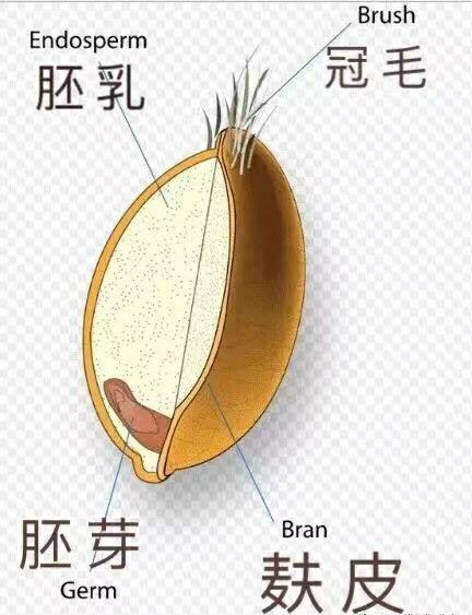 面粉的分类及适用范围,面粉的传统和现代分类方法及特点