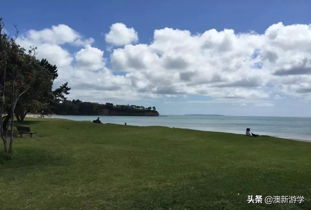 新西兰游学冬令营两周费用,新西兰游学团推荐