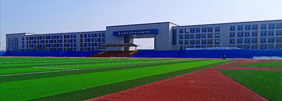 东师的情况,东师是一流大学吗