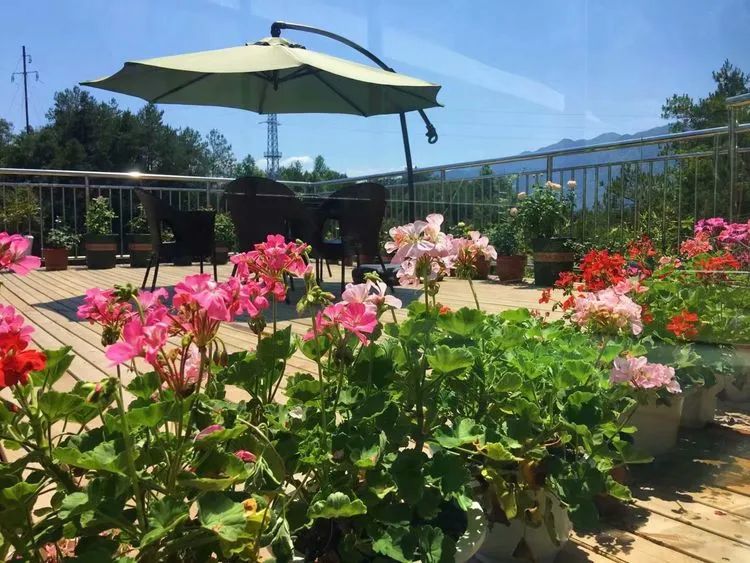 冬去春来,愿你无恙,疫情退去,养肉依旧!