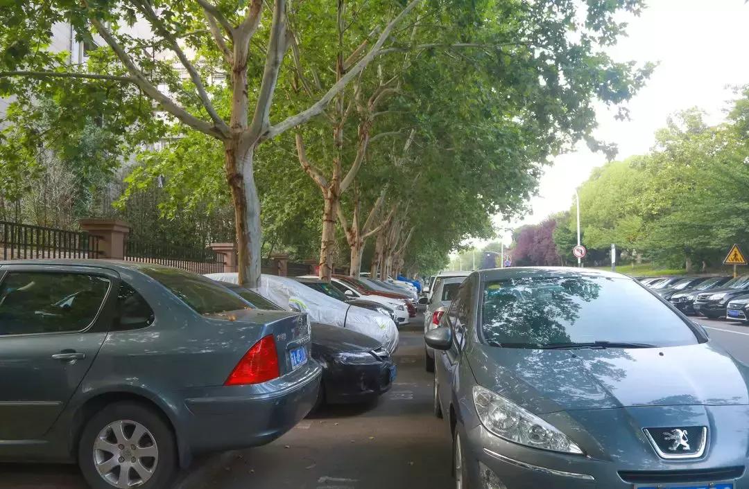 龙江，我不是河西