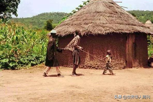 辉瑞无偿转让乙肝疫苗技术,默沙东无偿转让乙肝疫苗技术