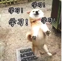 2020教育学考研萌新看过来，夏天考研备考总犯困？试试这六个妙招