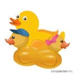 成人学英语用学音标吗,成人学英语单词视频