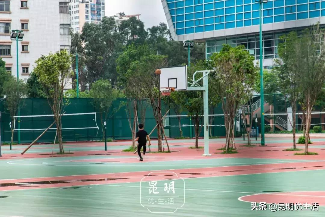 我眼中的云南财经大学,母校云南财经大学