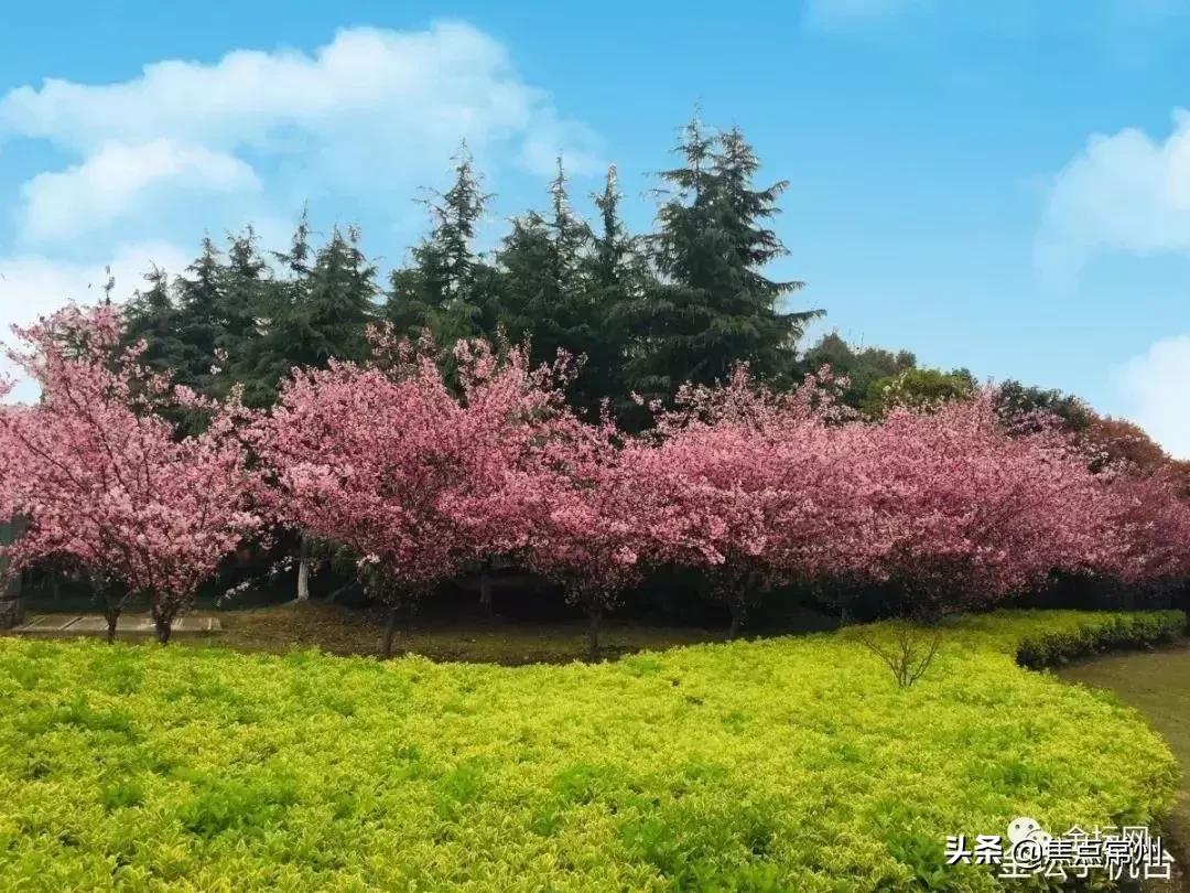 金坛适合一个人安静的地方,金坛的一个小镇