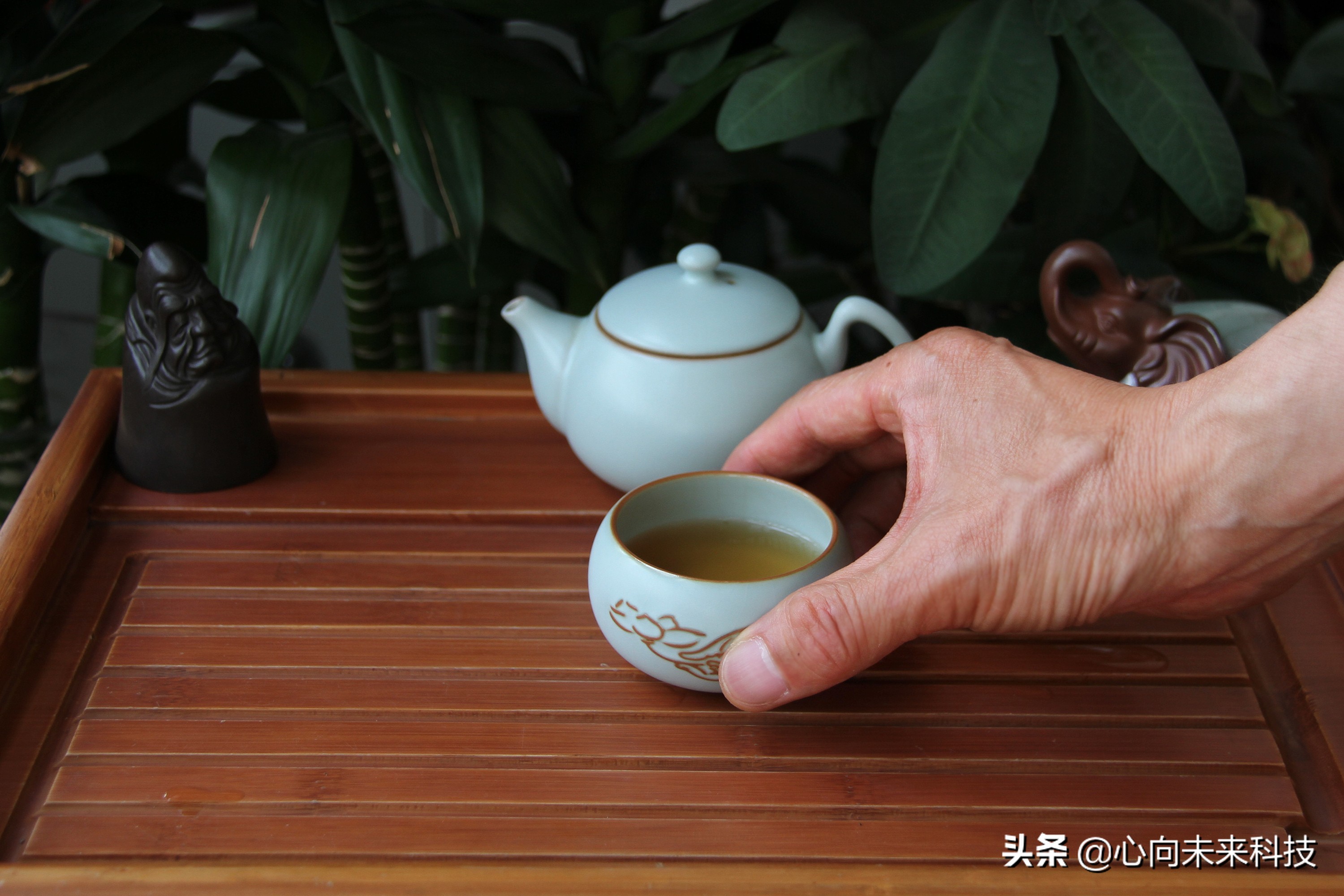 汝瓷新手入坑,汝瓷个人喝茶最实用的茶具