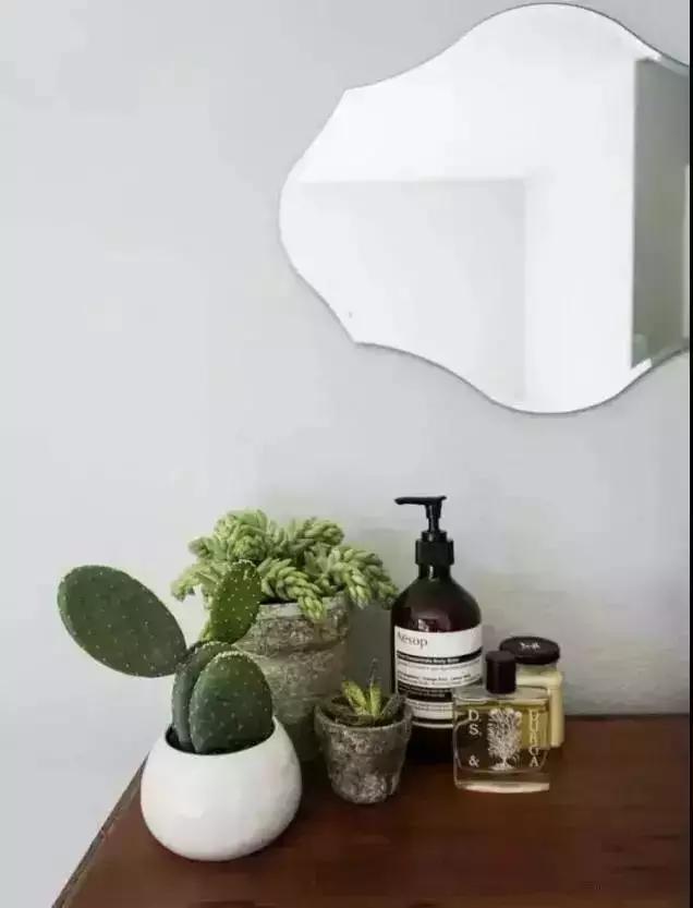 消除新房甲醛的是哪种盆景植物,吸附甲醛最好植物