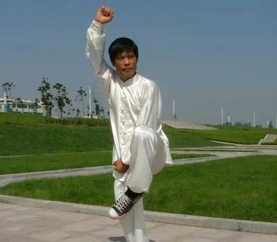 传统武术八极拳,传统八极拳比赛