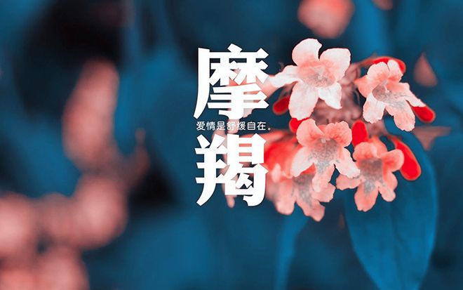 追摩羯女要不要很主动,追摩羯女很久了有必要继续吗