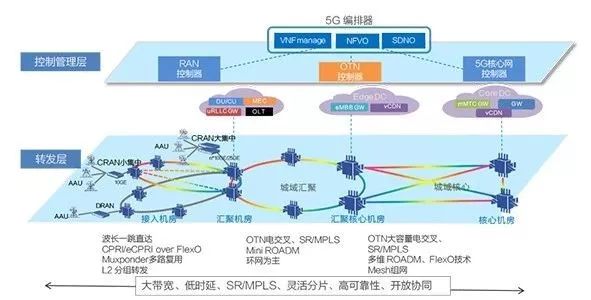 SPN和M-OTN，各为其主