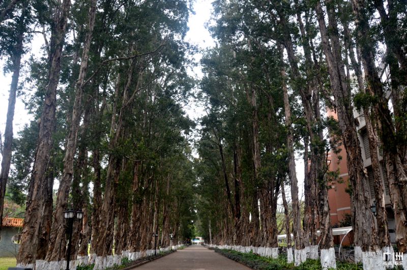 广州简约高级的拍照地方,广州免费室内拍照地方推荐