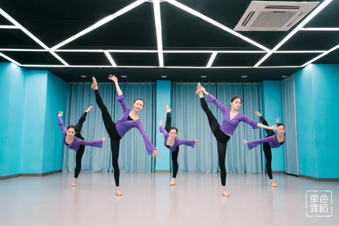 中国舞三级舞蹈基本功练习,中国舞零基础基本功训练在家练习