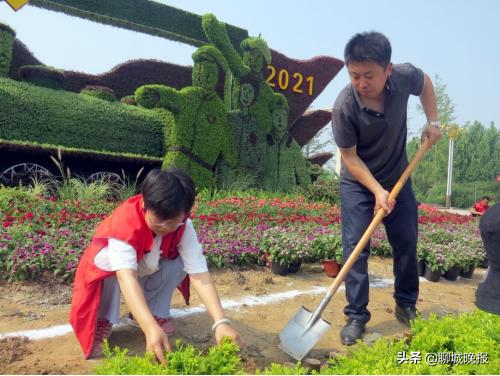 聊城市城市环境卫生管理服务中心,城市管理综合执法局园林