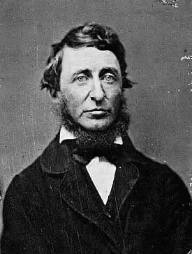 瓦尔登湖给人的启示,瓦尔登湖蕴含的人生哲理