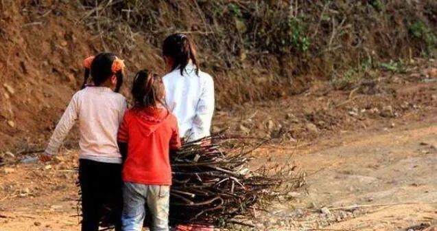 难忘小时拾柴火：看着一大堆柴火，母亲开心，我流了泪|蕉叶白