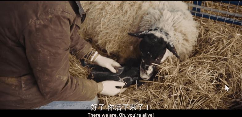 豆瓣9.6,这个“英国版李子柒”承包了我本月的笑点