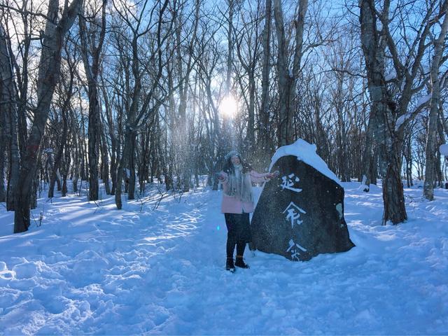 日本大阪城攻略,大阪日本攻略