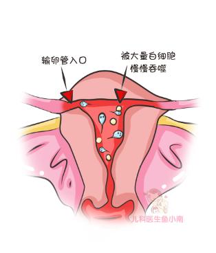好孕攻略排卵期的七大表现,排卵期攻略助你好孕