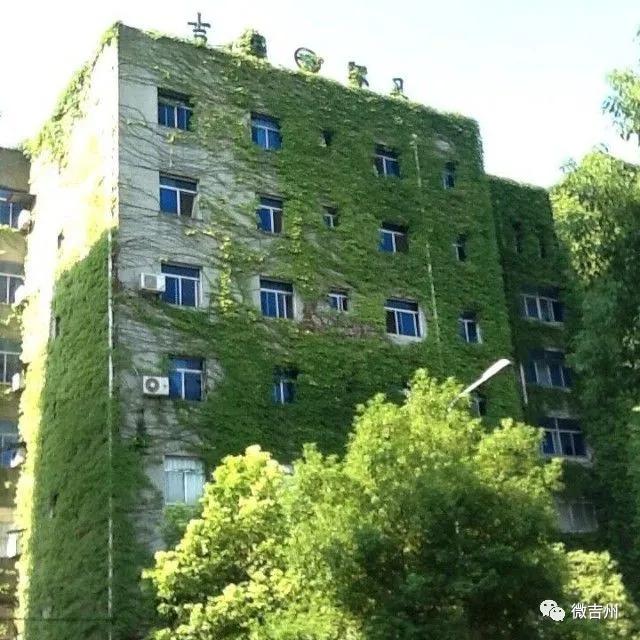 长沙大件废旧家具处理,厦门大件废旧家具怎么处理