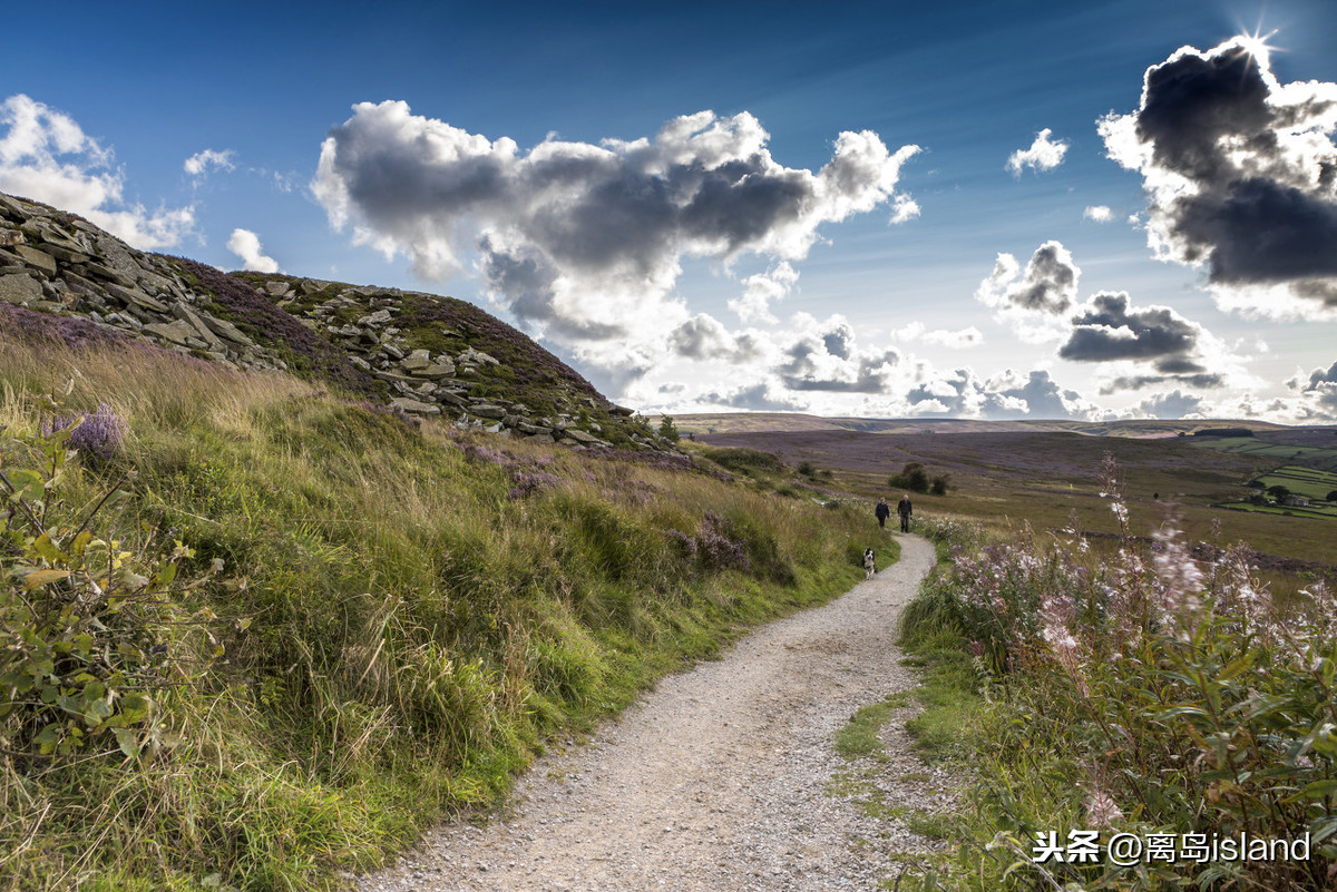 呼啸山庄艾米莉勃朗特诞辰200周年,艾米莉勃朗特在哪创作了呼啸山庄