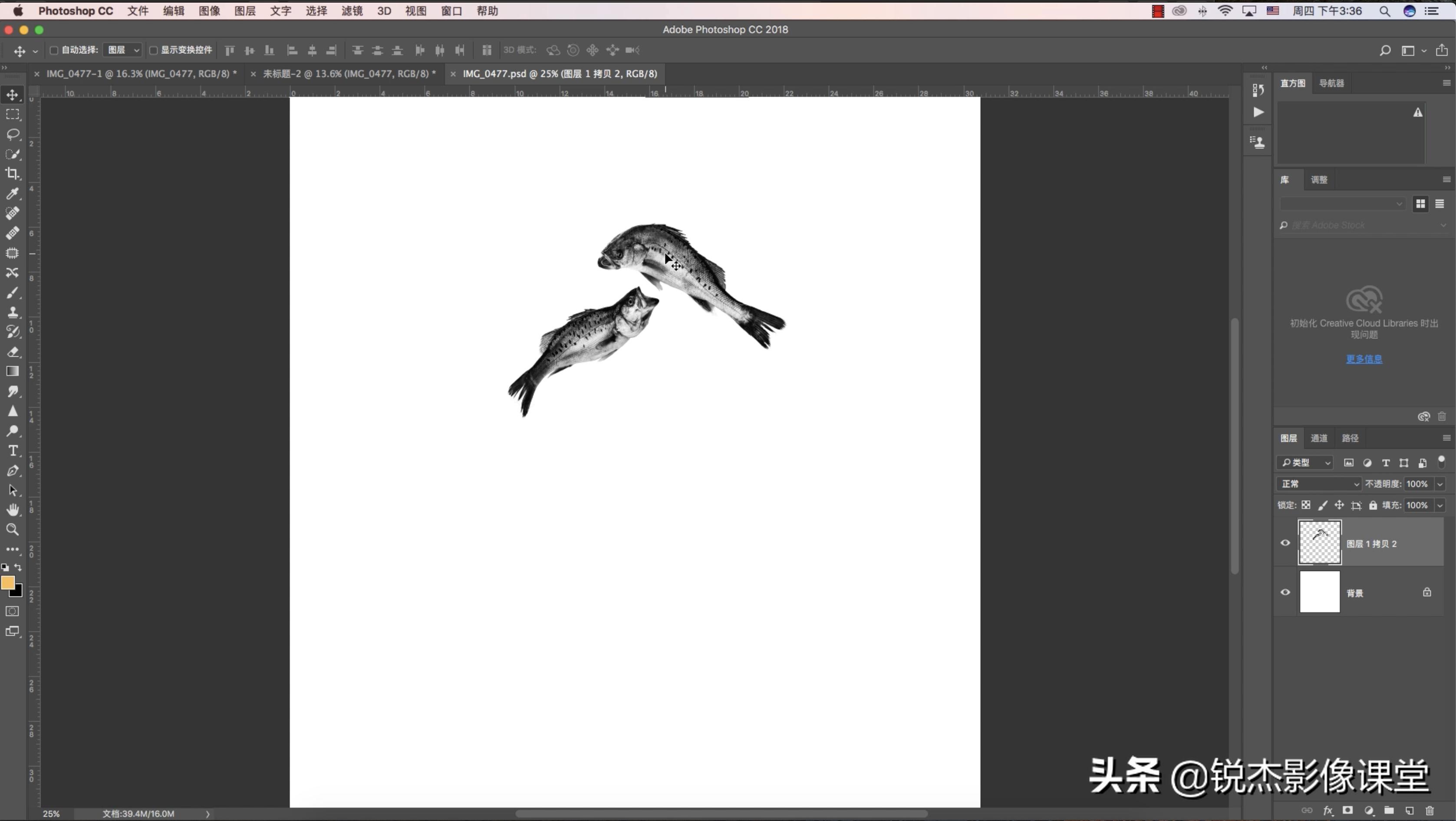 如何从零开始学习制作一张创意照片