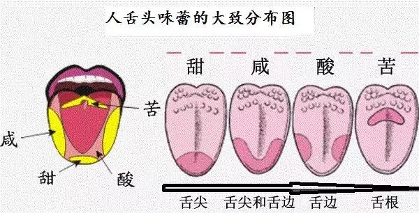 最全的红酒知识,最全红酒知识你知道多少