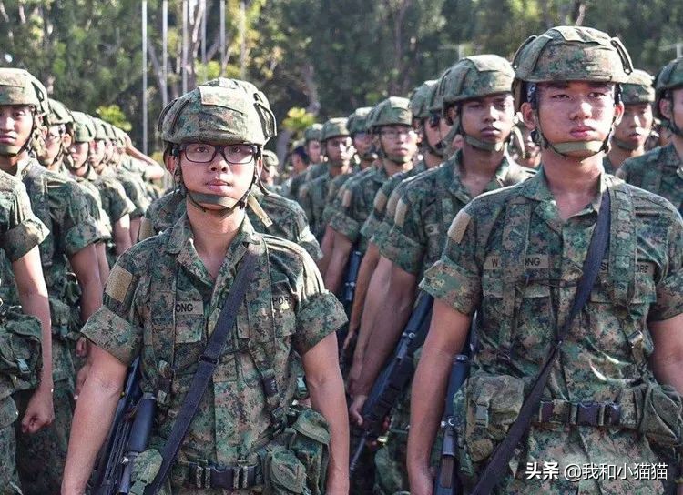 有关新加坡的十个事实,新加坡的八大奇葩法律知识