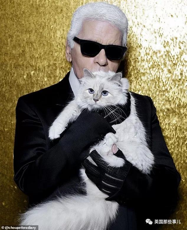 老佛爷的猫继承多少遗产,老佛爷去世后财产留给了一只猫