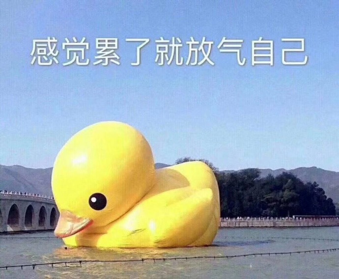 求工作表情包大全,感谢您对我工作的配合表情包