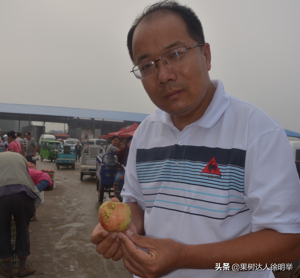 油桃黑点是什么,油桃外面黑点不长个