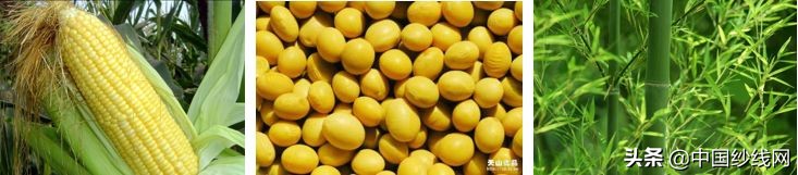 鏈嶈闈㈡枡鍩虹鐭ヨ瘑澶у叏,鏈嶈闈㈡枡鍩虹鐭ヨ瘑鑰冭瘯