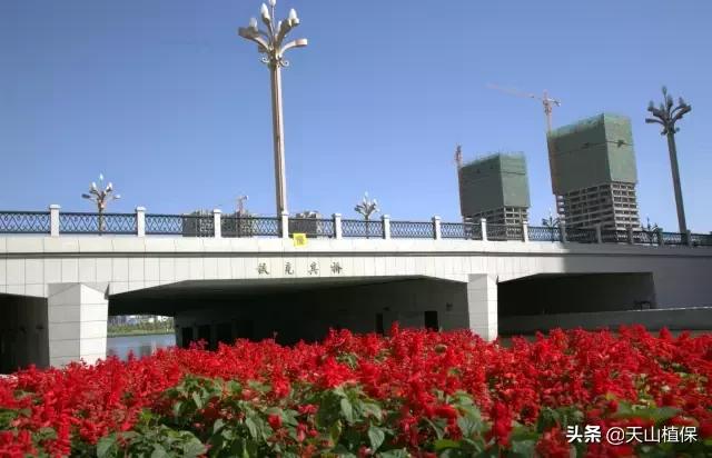 *疆新**库尔勒彻底火了！登上央视让世界瞩目，为库尔勒而骄傲