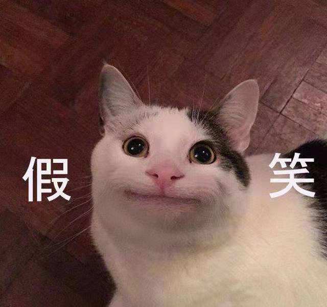 猫的高笑行为,盘点猫的搞笑行为