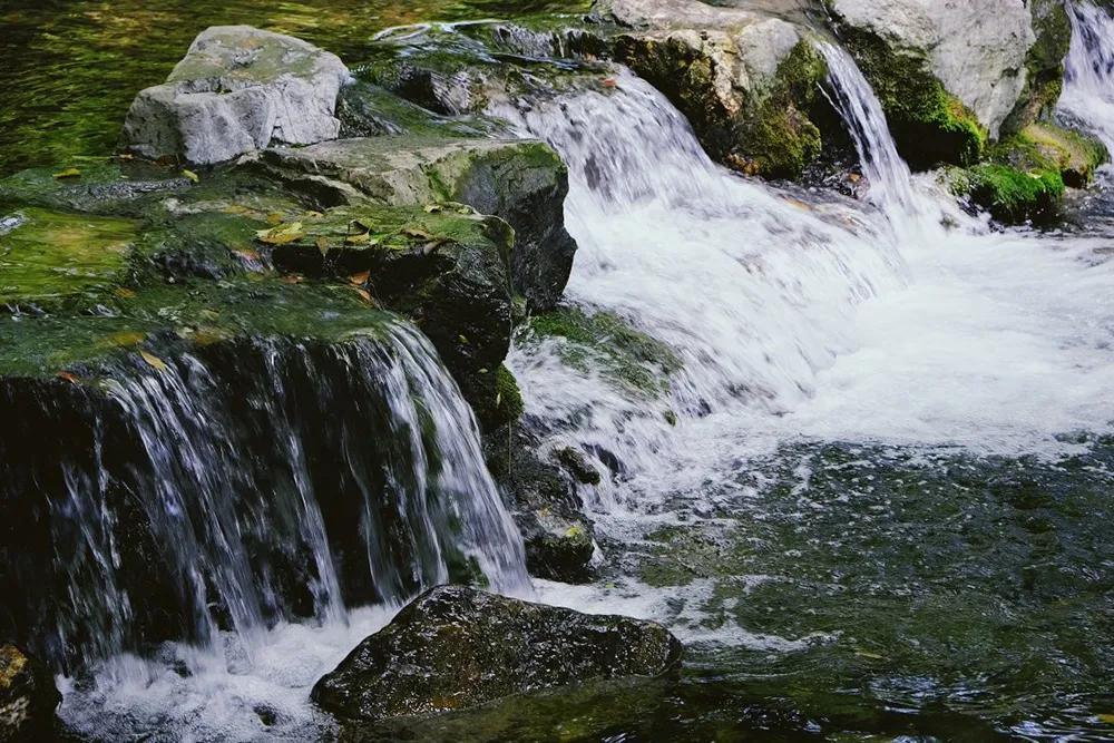 银杏古道自驾游攻略,江浙沪绝美古道苏州