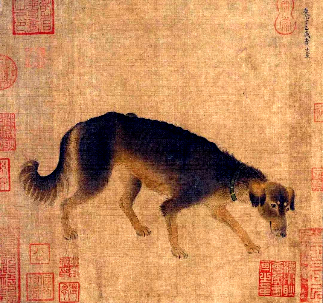 宋朝人吃狗肉,宋朝能不能吃狗肉