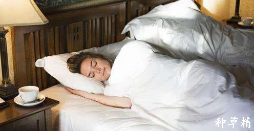 酒店入门技巧,酒店入住攻略详细