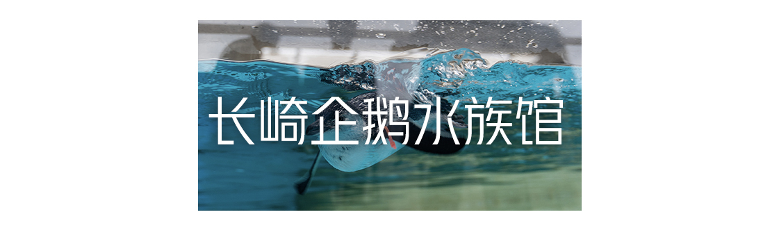 超级小众的日本旅游,日本九州游玩