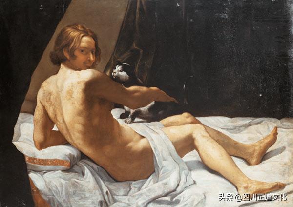 猫的故事,猫的故事视频