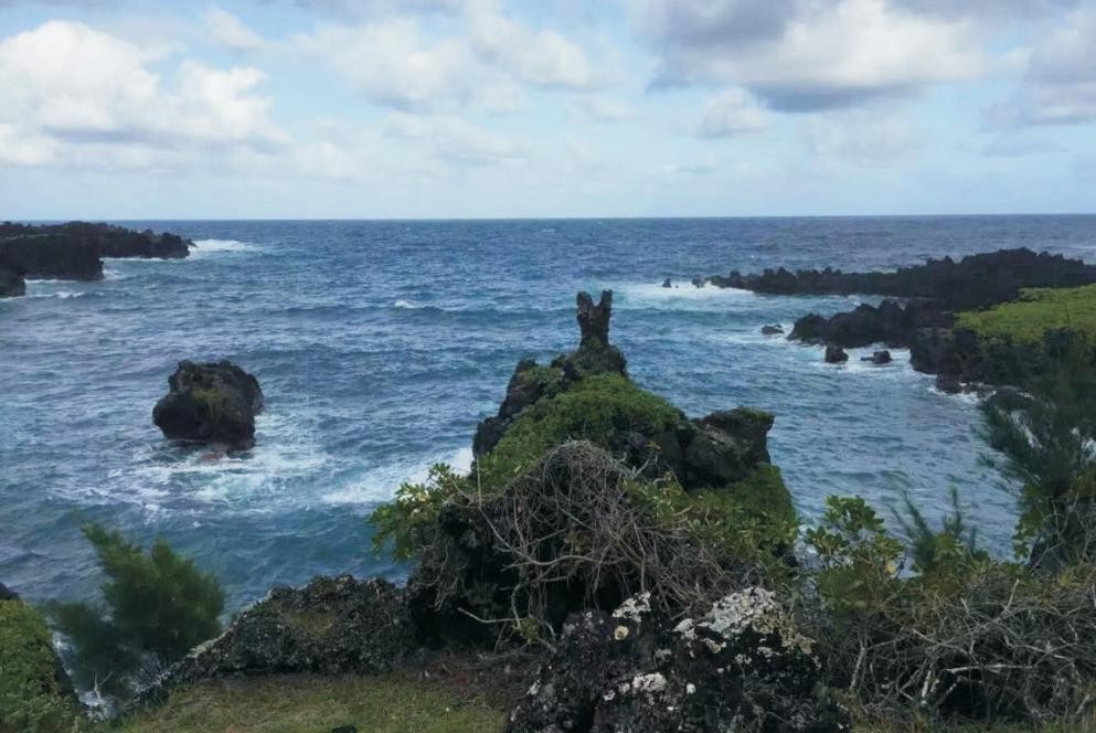 夏威夷的冬天01,夏威夷的冬天的橱窗