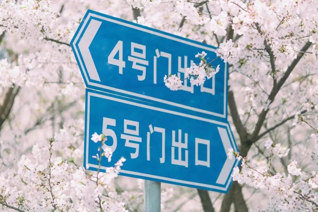 安家大结局有多少集,安家大结局解说