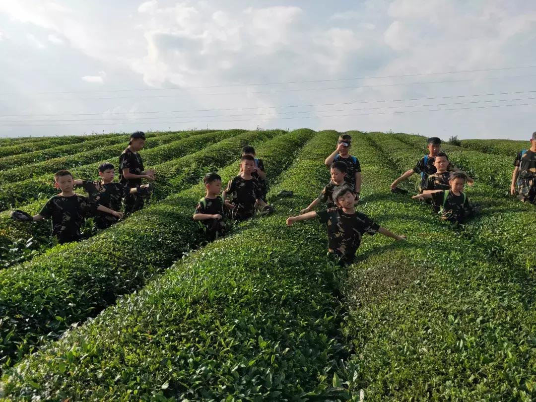 蹇冭埅绾垮浠よ惀鍖椾含,蹇冭埅绾垮浠よ惀