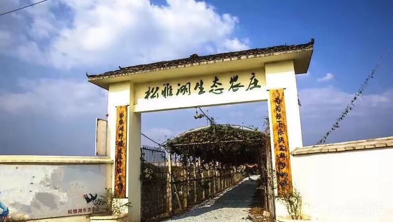 长沙生态农庄野炊采摘,长沙岳麓区垂钓农家乐