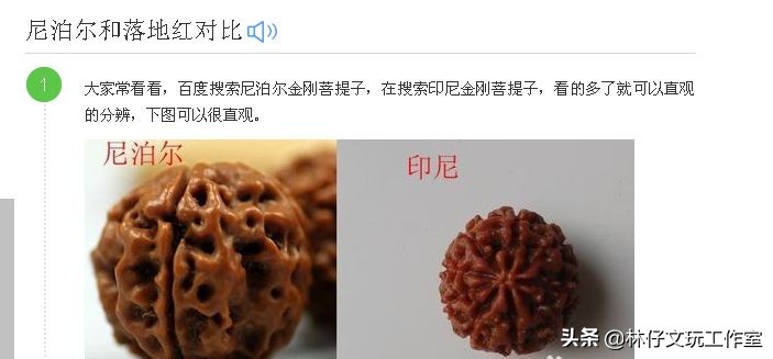 尼泊尔大金刚与落地红的简单区别,印尼大金刚就是落地红吗