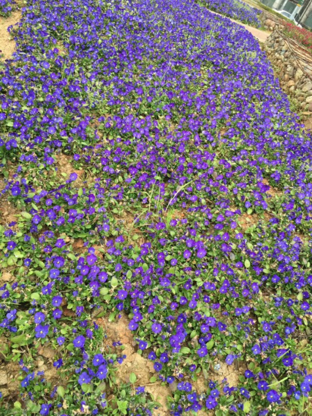 和谁在一起的确很重要美文,和谁在一起的确很重要