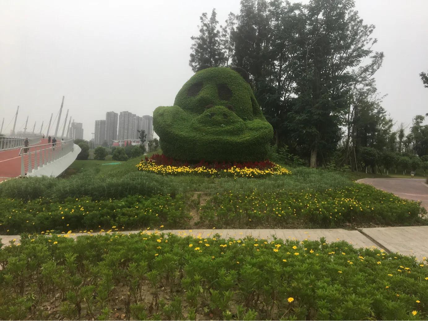 住在成都郊区别墅的体验,成都住在哪个区生活最舒服