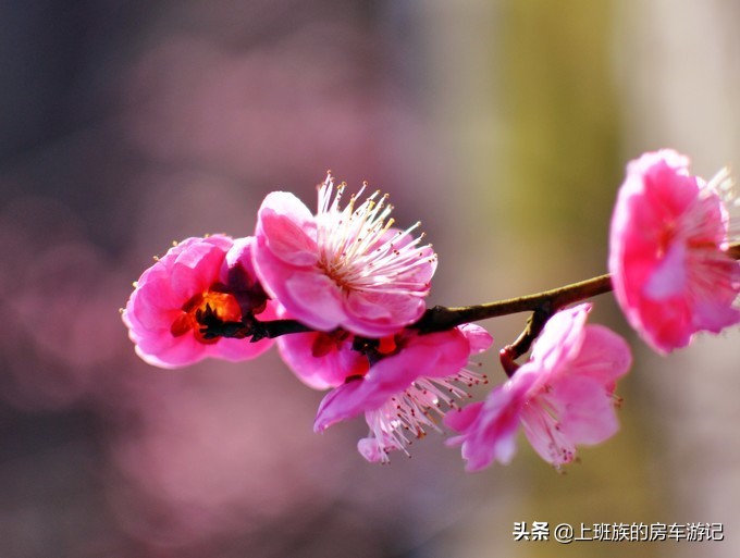 南通狼山一日游详细攻略图,夏天南通狼山一日游详细攻略