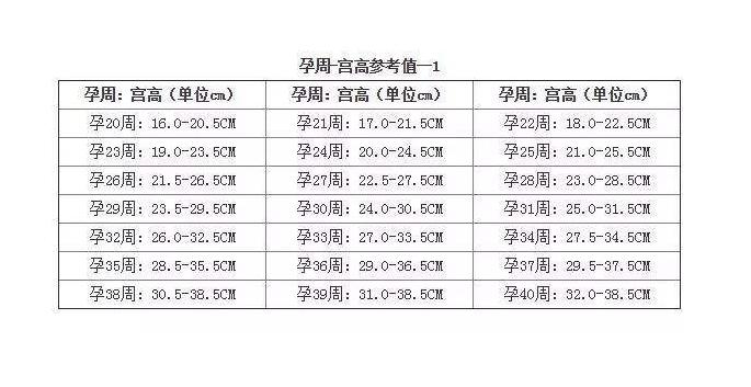 孕妇宫高与孕周对照表,孕期孕妇宫高标准及对照表